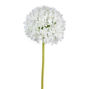 Fleur décorative Allium KLATE, blanc, 90cm