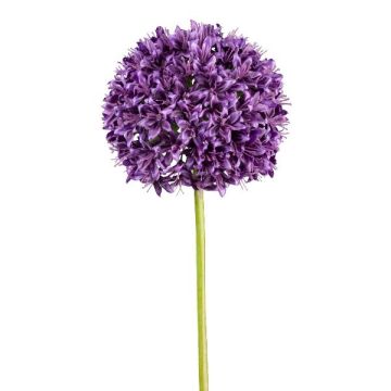 Fleur décorative Allium KLATE, violet, 90cm Fleur décorative Allium KLATE, violet, 90cm