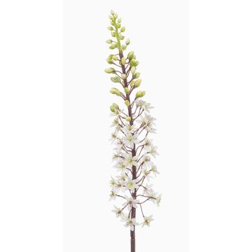 Fleur synthétique bougie des steppes SCHENRA, blanc-vert, 95cm Fleur synthétique bougie des steppes SCHENRA, blanc-vert, 95cm