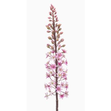 Fleur synthétique bougie des steppes SCHENRA, rose, 95cm Fleur synthétique bougie des steppes SCHENRA, rose, 95cm