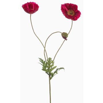 Rameau décoratif de pavot SCHUNRA, fuchsia, 75cm