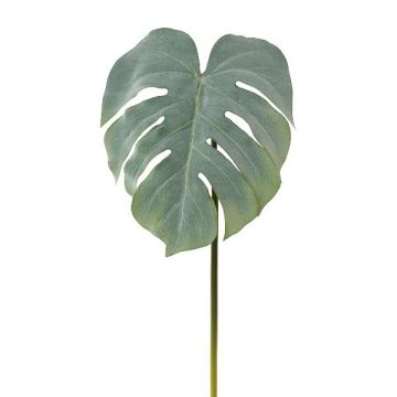 Feuille décorative Philodendron Monstera Deliciosa MELIAT, vert-gris, 80cm