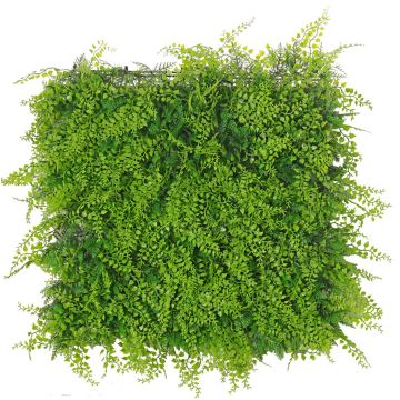 Kunst Farn Zypresse Hecke / Matte DIANTA, crossdoor, 50x50cm Kunst Farn Zypresse Hecke / Matte DIANTA, crossdoor, 50x50cm