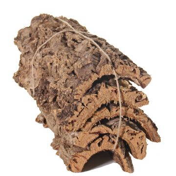 Morceaux d'écorce de liège naturel DIANTHA, 5 pièces, marron, 50 x 25 cm Morceaux d'écorce de liège naturel DIANTHA, 5 pièces, marron, 50 x 25 cm