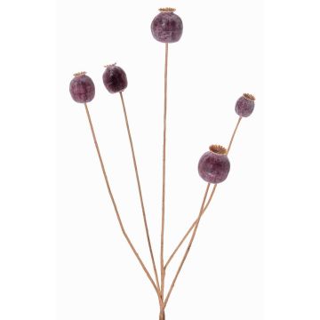 Branche artificielle de capsules de pavot FILOMELA, marron foncé, 75cm, Ø2-3,5cm Branche artificielle de capsules de pavot FILOMELA, marron foncé, 75cm, Ø2-3,5cm