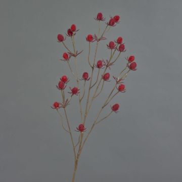 Branche décorative de chardon noble LOUKAS, rouge, 70cm, Ø1-1,5cm Branche décorative de chardon noble LOUKAS, rouge, 70cm, Ø1-1,5cm