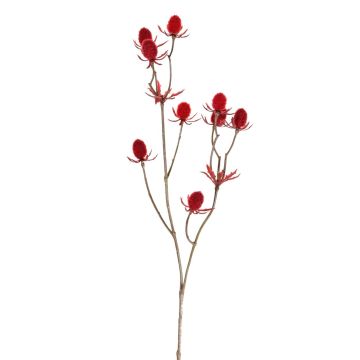 Branche décorative de chardon noble LOUKAS, rouge, 45cm, Ø1-1,5cm Branche décorative de chardon noble LOUKAS, rouge, 45cm, Ø1-1,5cm