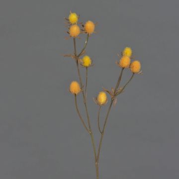 Branche décorative de chardon noble LOUKAS, jaune-orange, 45cm, Ø1-1,5cm Branche décorative de chardon noble LOUKAS, jaune-orange, 45cm, Ø1-1,5cm