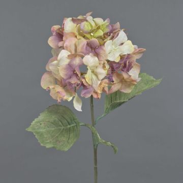 Fleur artificielle hortensia URANIA, aspect séché, vieux rose-crème, 75cm, Ø20cm Fleur artificielle hortensia URANIA, aspect séché, vieux rose-crème, 75cm, Ø20cm