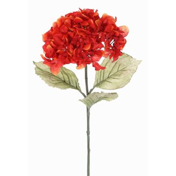 Fleur artificielle hortensia URANIA, aspect séché, orange-rouge, 75cm, Ø20cm Fleur artificielle hortensia URANIA, aspect séché, orange-rouge, 75cm, Ø20cm