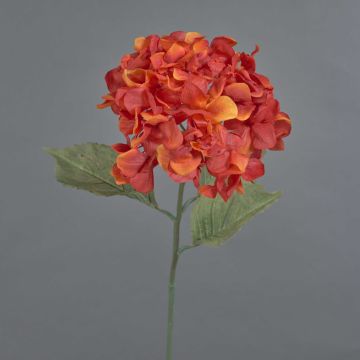 Fleur artificielle hortensia URANIA, aspect séché, orange-rouge, 75cm, Ø20cm Fleur artificielle hortensia URANIA, aspect séché, orange-rouge, 75cm, Ø20cm