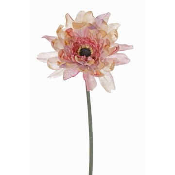 Fleur artificielle Gerbera PAMILLA, vieux rose-crème, 65cm, Ø12cm