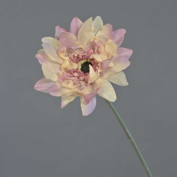 Fleur artificielle Gerbera PAMILLA, vieux rose-crème, 65 cm, Ø 12 cm Fleur artificielle Gerbera PAMILLA, vieux rose-crème, 65 cm, Ø 12 cm