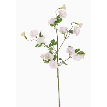 Branche de liseron artificielle IORDANIS, blanche, 80cm, Ø3-5,5cm
