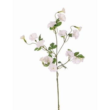 Branche de liseron artificielle IORDANIS, blanche, 80cm, Ø3-5,5cm Branche de liseron artificielle IORDANIS, blanche, 80cm, Ø3-5,5cm