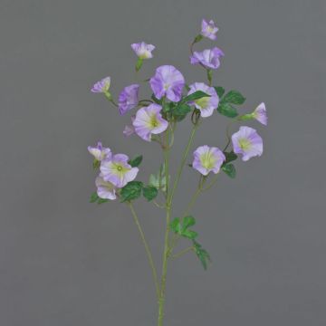 Branche artificielle de liseron IORDANIS, lilas-vert, 80cm, Ø3-5,5cm