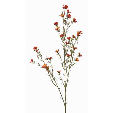 Fleur artificielle de cire NIANG, orange-rouge, 80cm, Ø1,5-2,5cm Fleur artificielle de cire NIANG, orange-rouge, 80cm, Ø1,5-2,5cm