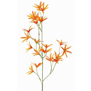 Fleur artificielle: branche de Tweedia solanoides PALLAS, orange, 70cm, Ø5cm