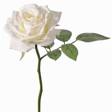 Fleur artificielle rose NIKOLETA, blanche, 30 cm, Ø 12 cm Fleur artificielle rose NIKOLETA, blanche, 30 cm, Ø 12 cm