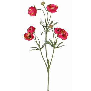 Renoncule synthétique YARIS, fuchsia-vert, 65cm, Ø3-4,5cm