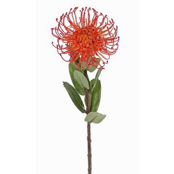 Coussin à épingles artificiel Protea BAILY, orange, 55 cm, Ø 10 cm Coussin à épingles artificiel Protea BAILY, orange, 55 cm, Ø 10 cm