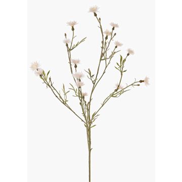 Branche de fleur artificielle de bleuet ZENOBIOS, crème, 80 cm, Ø 3-4 cm Branche de fleur artificielle de bleuet ZENOBIOS, crème, 80 cm, Ø 3-4 cm