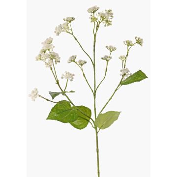 Branche décorative d'eupatoire KORALIA, crème, 80cm, Ø4-7cm Branche décorative d'eupatoire KORALIA, crème, 80cm, Ø4-7cm