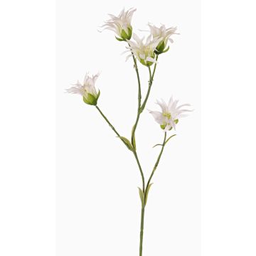 Oeillet japonais artificiel KASTALIA, crème, 65cm, Ø4-5cm Oeillet japonais artificiel KASTALIA, crème, 65cm, Ø4-5cm
