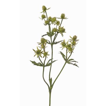 Branche de chardon noble artificielle KALYPSO, verte, 65cm, Ø3-4cm Branche de chardon noble artificielle KALYPSO, verte, 65cm, Ø3-4cm