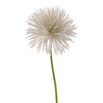 Chrysanthème artificiel NANDITA, blanc, 60cm, Ø15cm Chrysanthème artificiel NANDITA, blanc, 60cm, Ø15cm