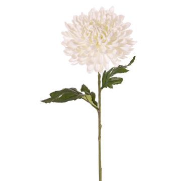 Chrysanthème artificiel DELPHINA, crème, 65cm, Ø14cm Chrysanthème artificiel DELPHINA, crème, 65cm, Ø14cm