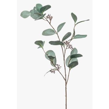 Branche artificielle d'eucalyptus MAXEN avec fruits, vert-gris, 75 cm Branche artificielle d'eucalyptus MAXEN avec fruits, vert-gris, 75 cm
