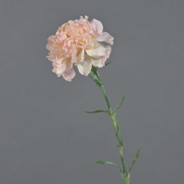 Oeillet artificiel NIRUSHA, rose-crème, 65cm, Ø9cm Oeillet artificiel NIRUSHA, rose-crème, 65cm, Ø9cm