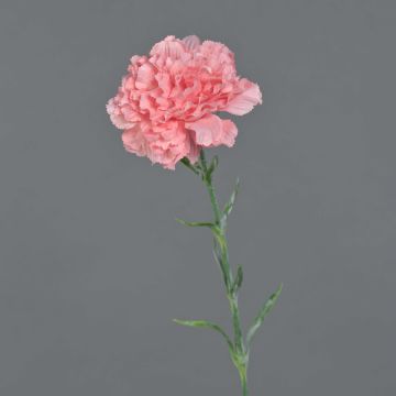 Oeillet artificiel NIRUSHA, rose, 65cm, Ø9cm Oeillet artificiel NIRUSHA, rose, 65cm, Ø9cm
