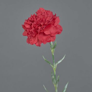 Oeillet artificiel NIRUSHA, rouge, 65cm, Ø9cm Oeillet artificiel NIRUSHA, rouge, 65cm, Ø9cm