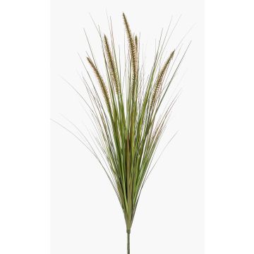 Gazon artificiel décoratif Federborstengras YWAIN, panicules, tige d'ancrage, beige-vert, 70cm