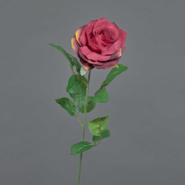 Fleur artificielle rose PEZOS, bordeaux, 60 cm, Ø 10 cm Fleur artificielle rose PEZOS, bordeaux, 60 cm, Ø 10 cm