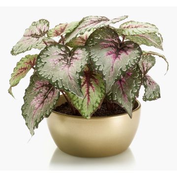 Plante artificielle bégonia à feuilles KATRICE dans un bol en céramique doré, violet-vert, 25cm