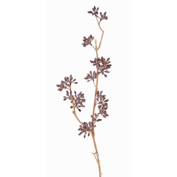 Branche d'eucalyptus en plastique SOHA avec fruits, marron, 60cm