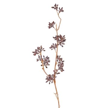 Branche d'eucalyptus en plastique SOHA avec fruits, marron, 60cm Branche d'eucalyptus en plastique SOHA avec fruits, marron, 60cm