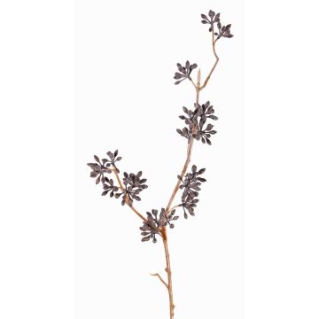Branche d'eucalyptus en plastique SOHA avec fruits, marron foncé, 60cm