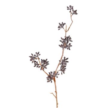 Branche d'eucalyptus en plastique SOHA avec fruits, marron foncé, 60cm Branche d'eucalyptus en plastique SOHA avec fruits, marron foncé, 60cm