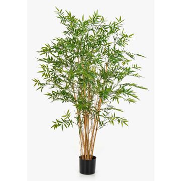 Bambou décoratif HATYSA, tiges naturelles, 150 cm Bambou décoratif HATYSA, tiges naturelles, 150 cm