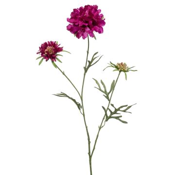 Branche décorative de scabieuse MARUA, violette, 80cm Branche décorative de scabieuse MARUA, violette, 80cm