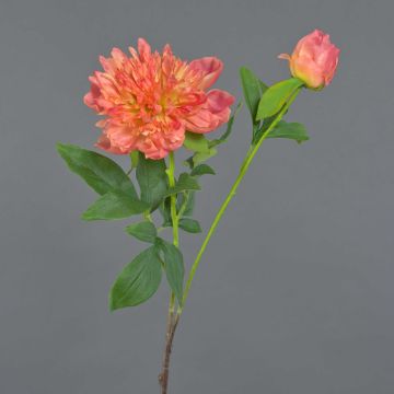 Fleur artificielle pivoine BADIS, corail, 75cm, Ø13cm Fleur artificielle pivoine BADIS, corail, 75cm, Ø13cm