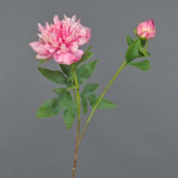 Fleur artificielle pivoine BADIS, rose, 75cm, Ø13cm Fleur artificielle pivoine BADIS, rose, 75cm, Ø13cm