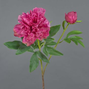 Fleur artificielle pivoine BADIS, fuchsia, 75cm, Ø13cm Fleur artificielle pivoine BADIS, fuchsia, 75cm, Ø13cm
