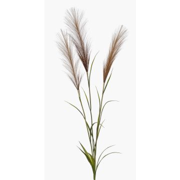 Branche décorative d'herbe de la pampa ADNANE avec panicules, marron, 90 cm Branche décorative d'herbe de la pampa ADNANE avec panicules, marron, 90 cm