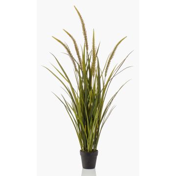 Künstliches Dekogras Fuchsschwanz Gras ANOUR mit Rispen, grün-braun, 115cm Künstliches Dekogras Fuchsschwanz Gras ANOUR mit Rispen, grün-braun, 115cm