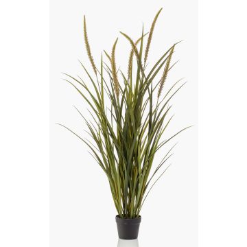 Künstliches Dekogras Fuchsschwanz Gras ANOUR mit Rispen, grün-braun, 130cm Künstliches Dekogras Fuchsschwanz Gras ANOUR mit Rispen, grün-braun, 130cm